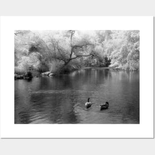 On the Lake Posters and Art